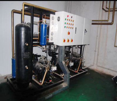 食品廠并聯(lián)機組